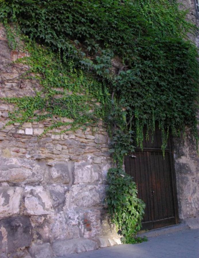 Aufhauser Hof Regensburg Ngoại thất bức ảnh